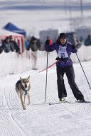 Lenk 2013